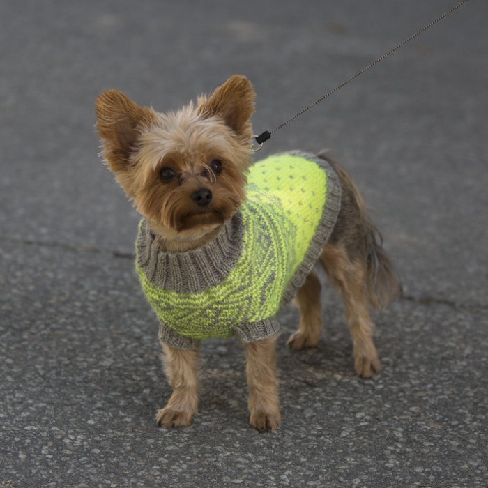 Viking - Refleksvest hund 1711-27